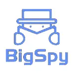 conjunta-web-bigspy