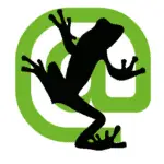 Conjunta Web Screaming Frog